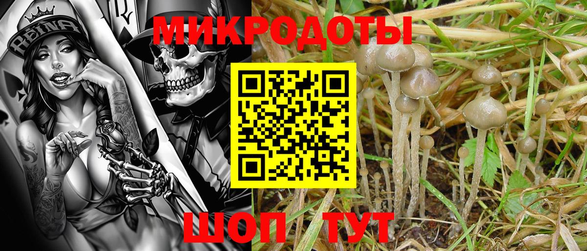 Галлюциногенные грибы Cubensis  Псилоцибиновые грибы Magic Shrooms  купить наркоту  Вход с VPN  Знаменск 